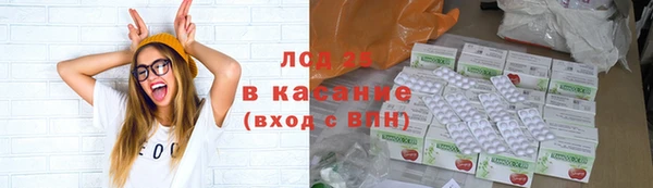 трава Пересвет