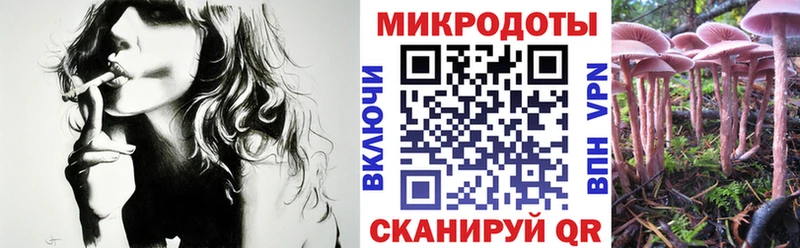 Псилоцибиновые грибы Cubensis где продают наркотики Алупка